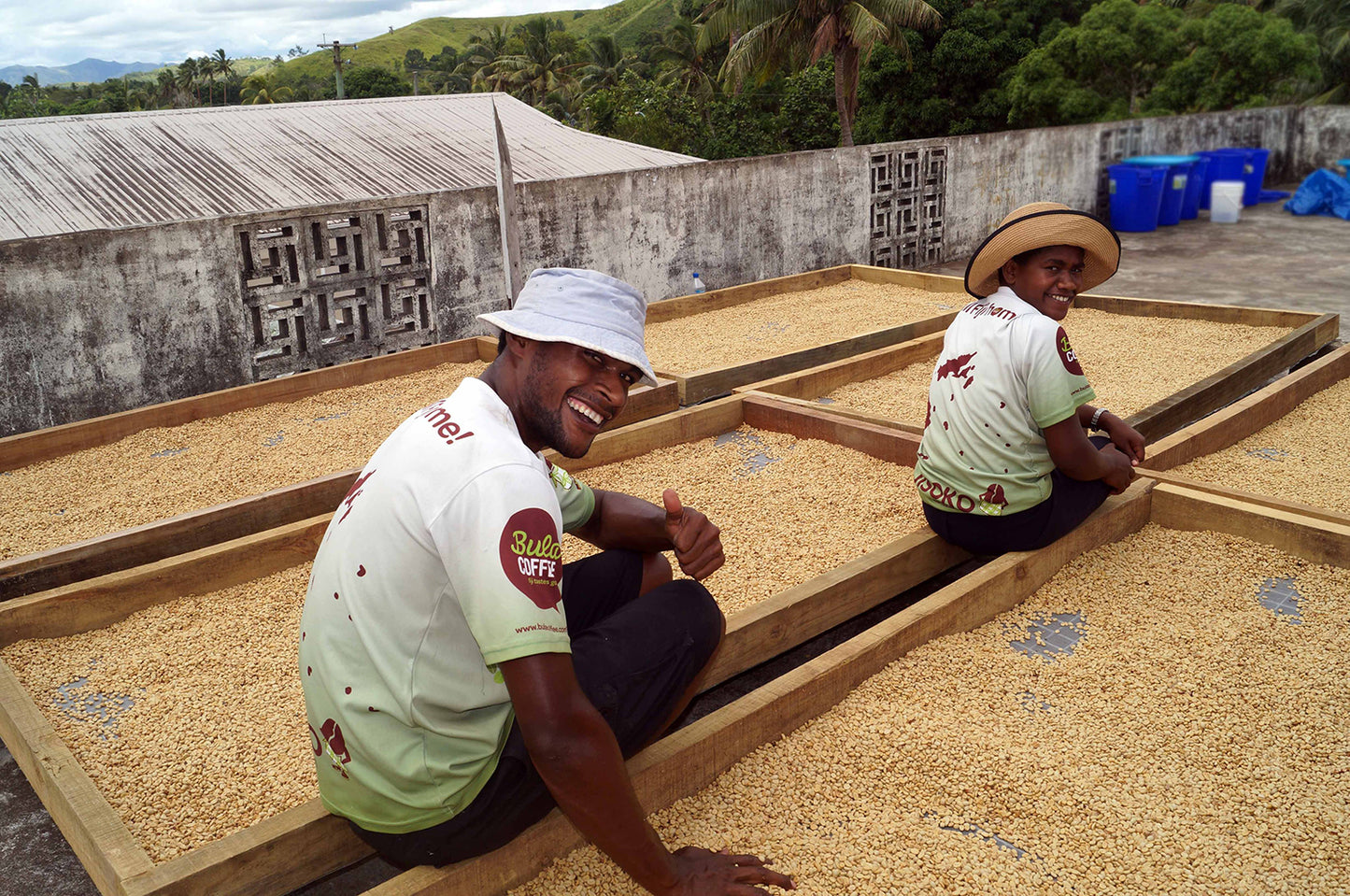 Crop to Cup Coffee Tour